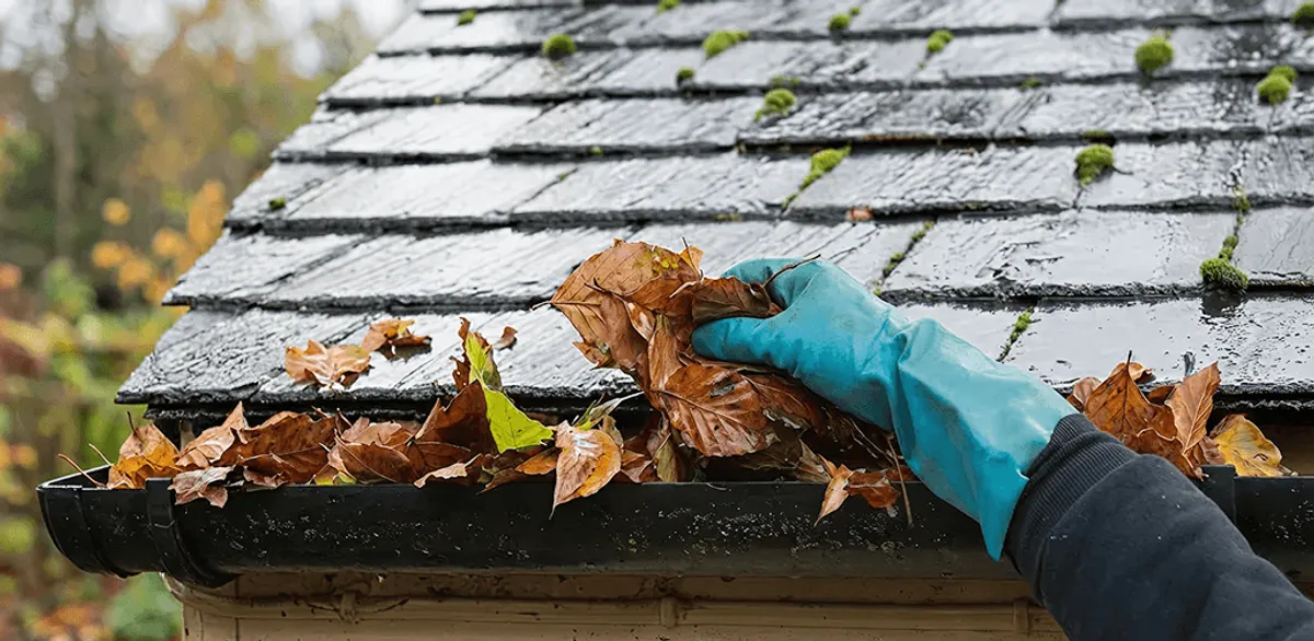 Gutter cleaning technician clearing wet leaves from roof gutters in New Orleans, LA